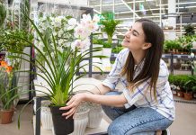 Apartment Gardening: Growing Food and Flowers Without a Yard apartment gardening indoor outdoor growing without yard