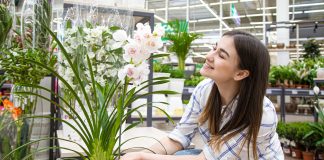 apartment gardening indoor outdoor growing without yard